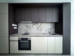 Tembusu Grand (D15), Condominium #555602981